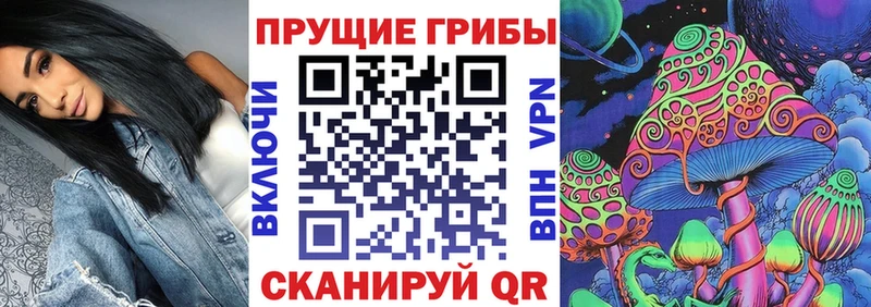 Галлюциногенные грибы мицелий  Вышний Волочёк 